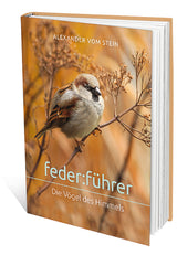 Medien 2