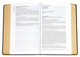 Medien 5